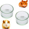 2 Pcs Hamster Food and Water Bowl Glass Anti-Turning Transparent Dish for Hamster and Other Small Pet...