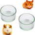 2 Pcs Hamster Food and Water Bowl Glass Anti-Turning Transparent Dish for Hamster and Other Small Pet...