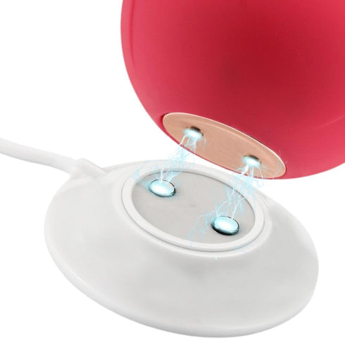 Replacement Rose Charger,Standing Magnetic Charger USB Cable,Replacement Base Dock Station for Rose Only-12mm...