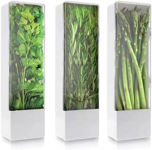 Herb Saver, Fresh Herb Keeper For Refrigerator, Cilantro Storage Container, Square Herb Saver Pod For Cilantro, Asparagus, Onion - Keeps Vegetable...
