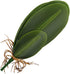 WINOMO Orchid Leaf, Artificial Orchid Plant Fake Flower Leaf Home Office Decoration...