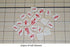 Shogi, Japanese Shogi, Japanese Chess, Magnetic Board Shogi Chess, Sho-gi, Jiangqi, Japanese Xiangqi...