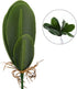 WINOMO Orchid Leaf, Artificial Orchid Plant Fake Flower Leaf Home Office Decoration...