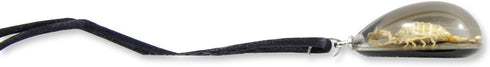 REALBUG Gold Scorpion Necklace, Black, Small...