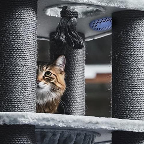 Refills for remodeez Litter Deodorizers and Odor Eliminator, Activated Charcoal, Natural Air Fresheners....