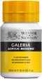 Winsor & Newton Galeria Acrylic Fluid Retarder, 8.4-oz (250ml) Jar...