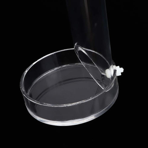 Shrimp Feeding Tube and Dish, Acrylic Transparent Aquarium Feeder Shrimp Feeder Tube Tray with Suction Cups Tube Feeding Dish Tray for Fish Tank A...