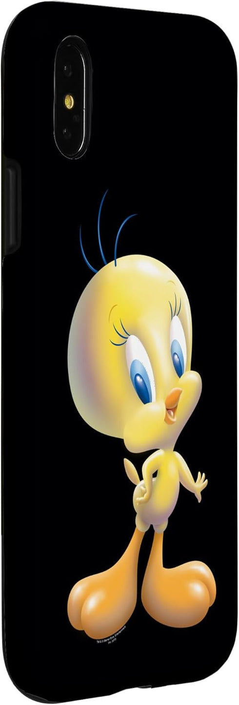iPhone X/XS Looney Tunes Tweety Bird Airbrushed Case...