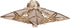 Kurt Adler 8-Point Star Treetop, 12-Inch, Gold Capiz...