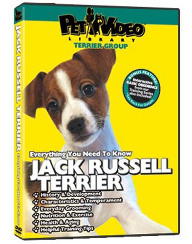 JACK RUSSELL TERRIER DVD: Everything You Should Know + Dog & Puppy Training Bonus...