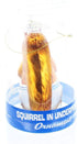Mcphee Archie Accoutrements Ornament Squirrel in Underpants Glass Standard for Christmas...