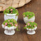 4 Pcs Dollhouse Potted Plants,Miniature Artificial Plant Bonsai,Mini Flowerpot,Miniature Dollhouse Kit,Doll House Mini Plant,for 1:12 Dollhouse De...