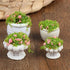 4 Pcs Dollhouse Potted Plants,Miniature Artificial Plant Bonsai,Mini Flowerpot,Miniature Dollhouse Kit,Doll House Mini Plant,for 1:12 Dollhouse De...