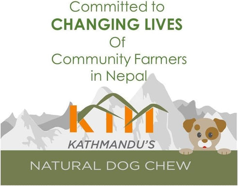 Authentic Himalayan Yak Cheese for Dogs - XLarge (Pack of 1) - Sourced from Pristine Himalayan Foothill, Rawhide-Free, NO preservatives...