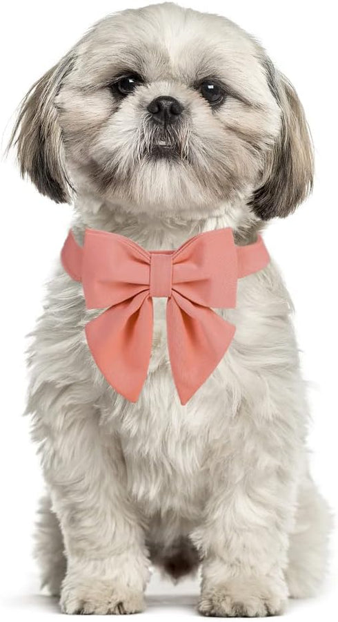 Maca Bates Dog Collar with Bow Bowtie for Dogs Solid Colors Sailor Bow Tie Adjustable Breakaway Girly Pink Collars Birthday Gift for Small Medium ...