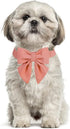 Maca Bates Dog Collar with Bow Bowtie for Dogs Solid Colors Sailor Bow Tie Adjustable Breakaway Girly Pink Collars Birthday Gift for Small Medium ...