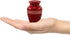 Immortal-Memories Serenity Keepsake Urn for Ashes - Miniature Urns - Mini Jar - Pet Urn -Token Urn with Velvet Bag (Red)...