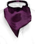 Biagio ASCOT Solid EGGPLANT PURPLE Color Cravat Men's Neck Tie...