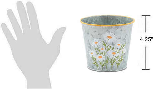 The Bridge Collection - Versatile Small Daisy Galvanized Metal Planter/Pot Cover - Perfect for Use as a Herb Planter, Small Flower Planter, or Sty...