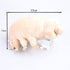 Tardigrade Plush Waterbear Stuffed Animal Water Bear Sea Creature Plush Toy, 9"...