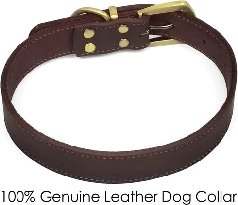 QRDA leather dog collar brown dog training collar heavy duty premium leather dog collar dog collars for medium/large dogs...