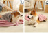 Microfiber Pet Towel - Dog Towel Super Absorbent Large Microfiber Drying Bath Towel for Dogs & Cats, 40x20 inches, Quick Drying, Lightweight Dog B...