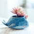 Cute Resin Whale Meaty Pot by SWONVI, Succulent Pots with Drainage Resin Mini Flower Pot Garden Plants Vase Desk Flower Decoration (Whale)...