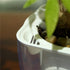 Self Watering Planter , FENGZHITAO African Violet Pots, Clear Plastic Automatic-Watering Planter Flower Pot Square Plant Pot for All House Plants,...
