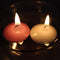 Floating Candles,Classic Unscented Tealight Shape Candles with 100PCS Silk Rose Petals,Mini Candle Discs for Weddings,Anniversaries,Birthdays,Home...