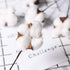 DomeStar Cotton Stems, Natural Dried Flowers 8 Packs Total 15 Bolls Cotton Sprigs Blooms Floral Stems for Vase Fillers...