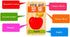 New Chinese English Language Learning Wooden Blocks Domino Children's Educational Product Wooden Toys Recognize/Identify Fruits and Animals 100pcs...