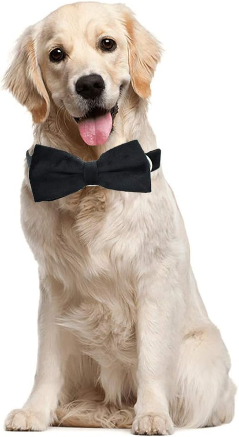 Love Dream Bowtie Dog Collar, Velvet Dog Collars with Detachable Bowtie Metal Buckle, Soft Comfortable Adjustable Bow Tie Collars for Small Medium...