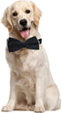 Love Dream Bowtie Dog Collar, Velvet Dog Collars with Detachable Bowtie Metal Buckle, Soft Comfortable Adjustable Bow Tie Collars for Small Medium...