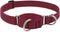 Martingale Dog Collar by Lupine ECO collection 1" wide Berry adjusts 15" to 22"...