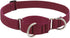 Martingale Dog Collar by Lupine ECO collection 1" wide Berry adjusts 15" to 22"...