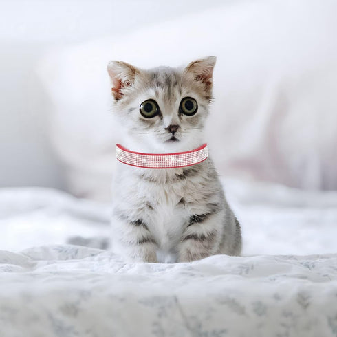 Bling Dog Collar, Rhinestone Dog Collars Cute Diamond Jewel Sparkle Fancy Leather Cat Pet Collar for XXS XSmall Small Medium Large XL XXL Puppy Gi...