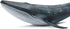 Solid Sea Animals Educational Toys,Simulation Ocean Shark Sea Creature Toy for Toddlers Kids (Blue Whale)...