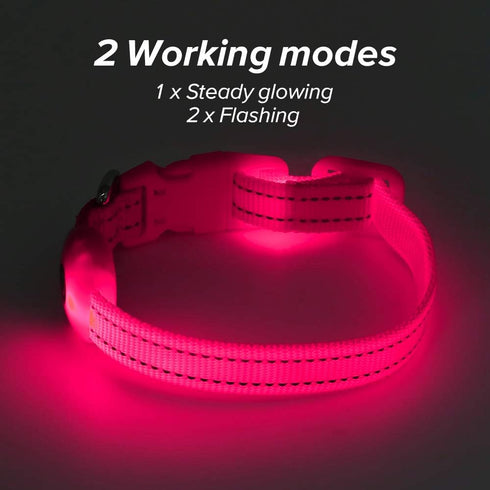 BSEEN Light Up Dog Collars - Rechargeable Glowing LED Dog Collar for Small Dogs & Cats (Pink)...