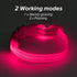 BSEEN Light Up Dog Collars - Rechargeable Glowing LED Dog Collar for Small Dogs & Cats (Pink)...