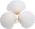 25pcs Scallop Shells for Crafts, 2-3 Inches White Large Natural Seashells for DIY Home Decor, Baking Shells for Serving Food...