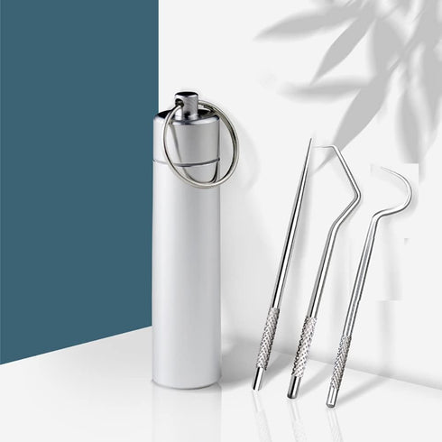 304 Stainless Steel Teeth Cleaning Tools Portable Metal Toothpicks Multi Functional Teeth Tools with Storage Tube for Men Women 7 Pcs...