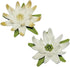 PME Set of 3 Rose Calyx Stainless Steel Cutters...