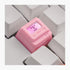 Custom Keycaps - Light Transmission Keycaps - Classic Retro Mechanical Backlit Keyboard Keycap. Suitable for Most MX Switches RGB PC Gamer Mechani...