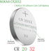 ECR2032 3V Lithium Coin Cell Battery CR2032 (100 Pack)...