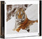 Canetti Color Edge Magnet Frame Graphite Square 4x4 inch...