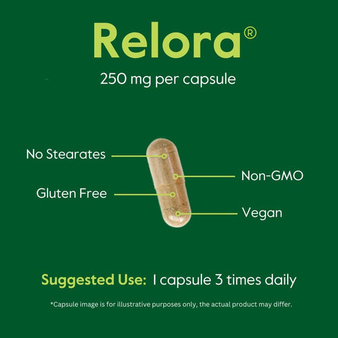 BESTVITE Filler-Free Relora 250mg (120 Vegetarian Capsules) – Clinically Researched – No Stearates – Vegan – No Fillers – Supports The Management ...