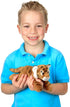 Bearington Lil' Saber Small Plush Stuffed Animal Tiger, 9 inches...