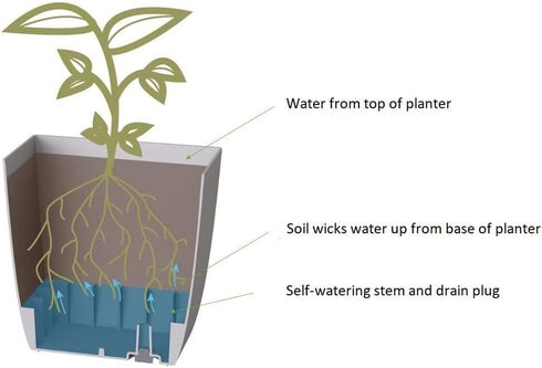 The HC Companies 8 Inch Aria Square Self Watering Planter - Plastic Plant Pot for Indoor Outdoor Plants Flowers Herbs, Glossy Black...
