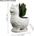 Lependor Cute Alpaca Succulent Planter Pot with Drainage Tray, White Ceramic Cactus/Flower Container, Animal Llama Bonsai Holder for Indoor Plants...