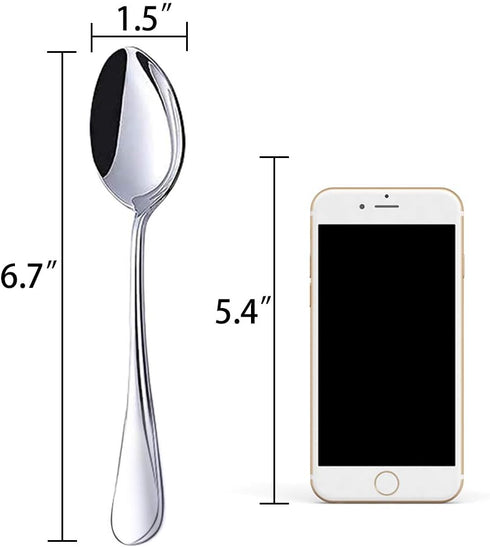 HANSGO Teaspoons Stainless Steel, 6 Piece Dinner Spoons Set 6.7 inches Dessert Spoons Use for Home, Kitchen or Restaurant...